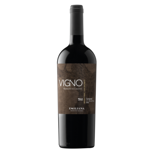 Vigno Carignan 2020