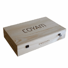 Alternative view of Colección Vertical Coyam