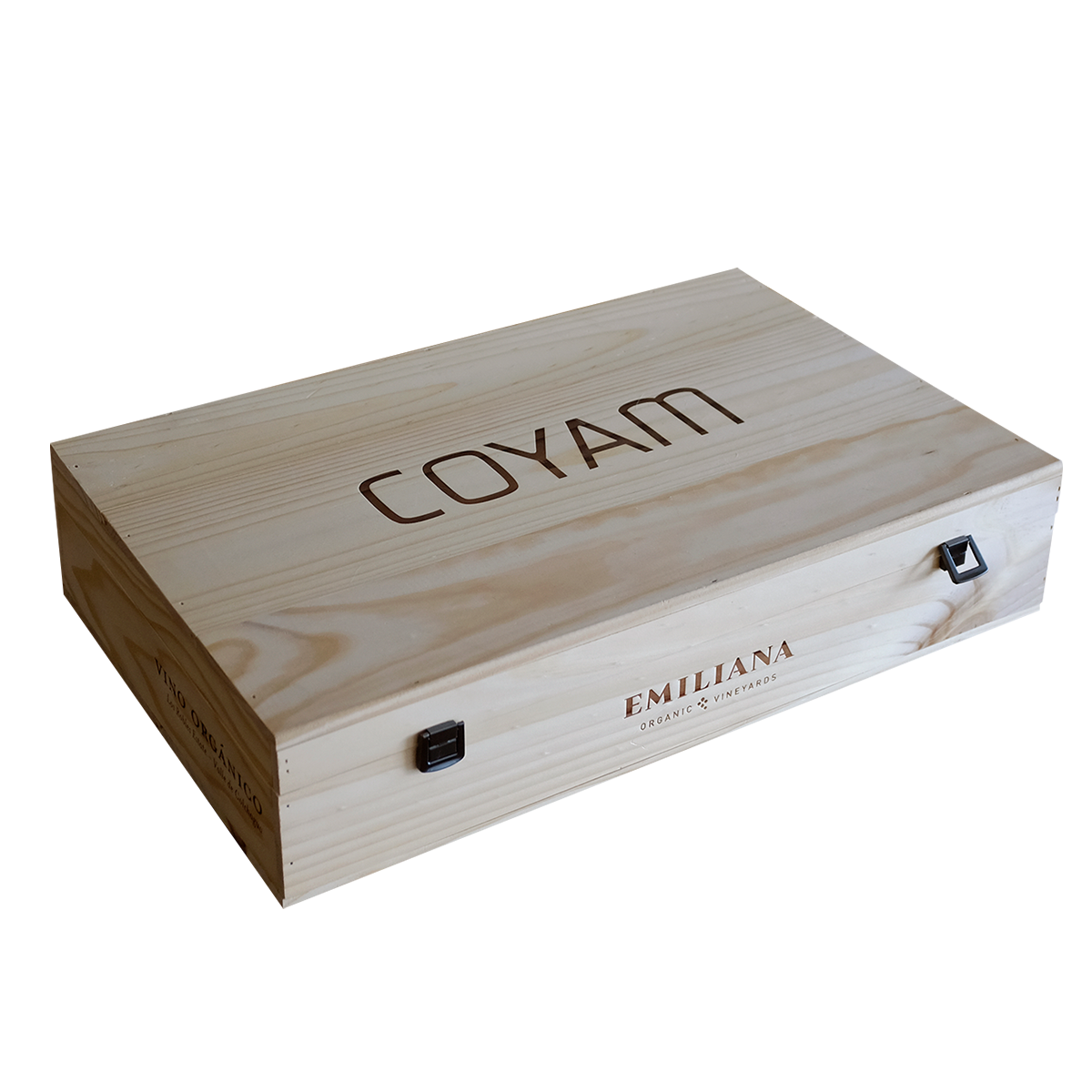 Colección Vertical Coyam - Imagen 2