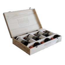 Colección Vertical Coyam