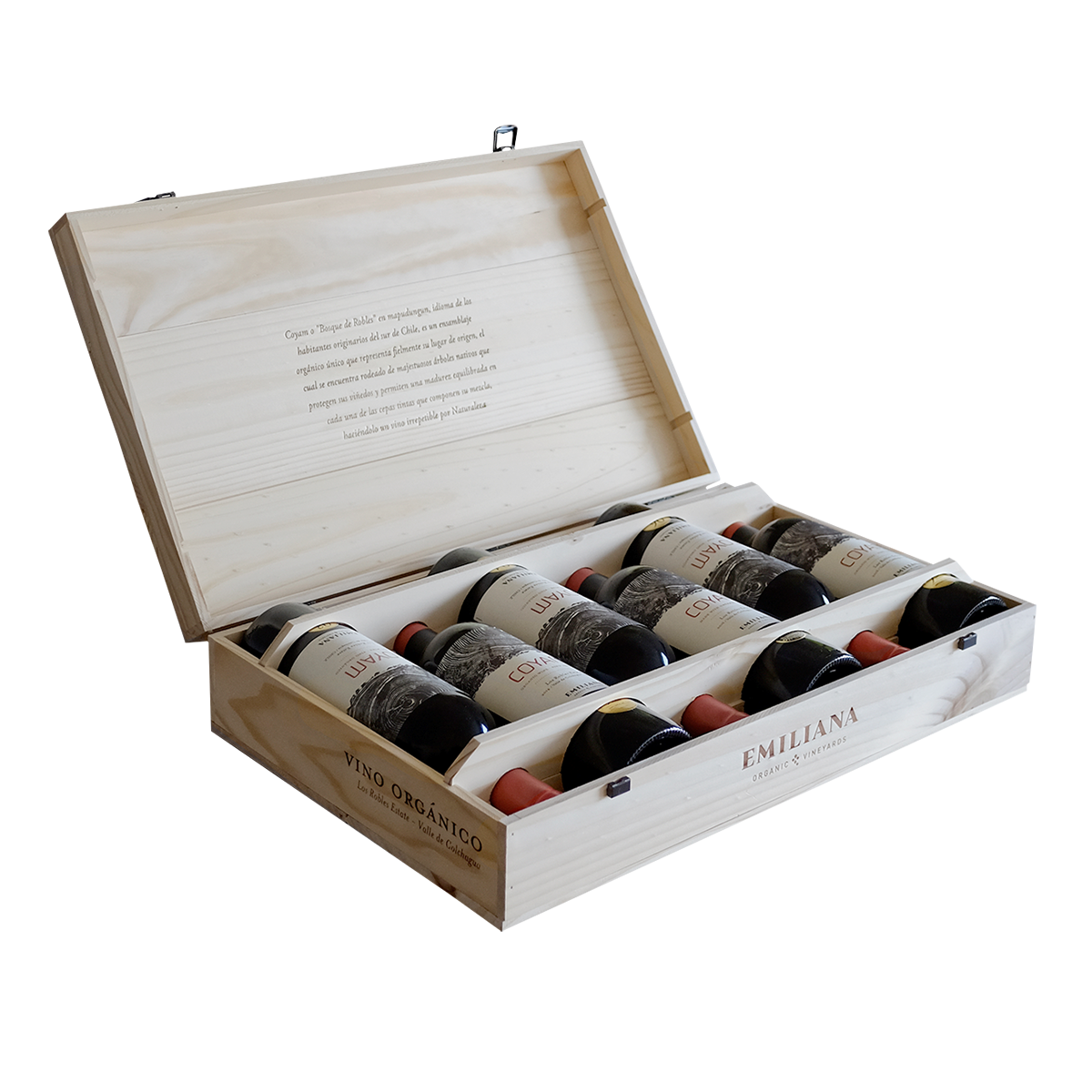 Colección Vertical Coyam