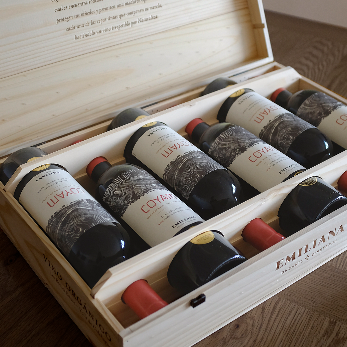 Colección Vertical Coyam - Imagen 3