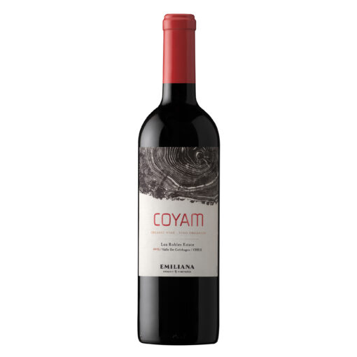 Coyam Ensamblaje 2013