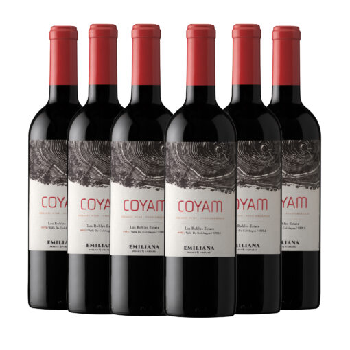 Coyam Ensamblaje 2013 - Caja 6u
