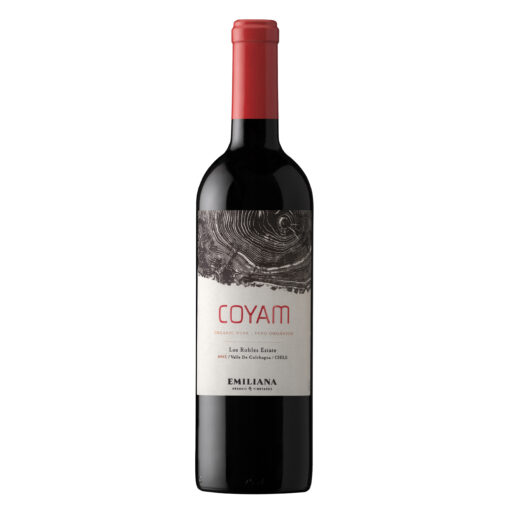 Coyam Ensamblaje 2015