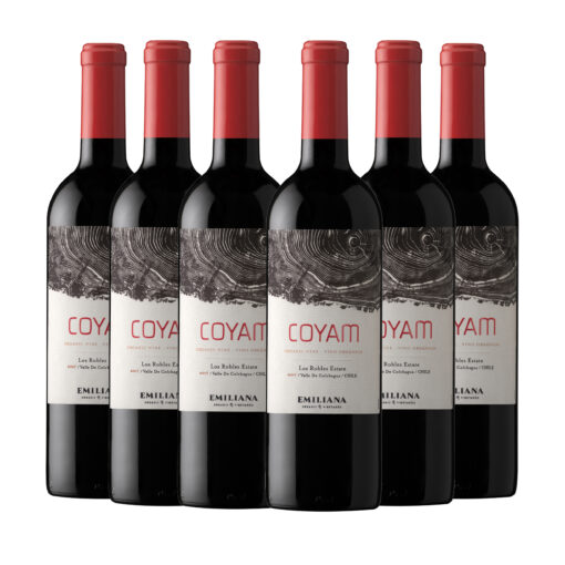 Coyam Ensamblaje 2017 - Caja 6u
