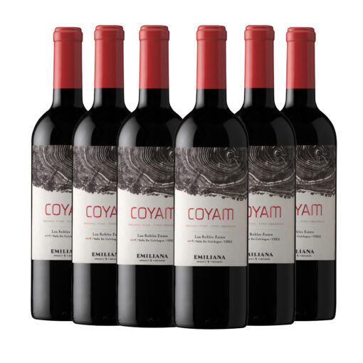 Coyam Ensamblaje 2018 - Caja 6u